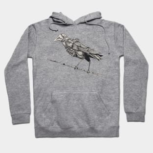 Plague Doctor Raven Hoodie